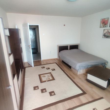 Eric'S Cozy Apartment 蒂米什瓦拉 外观 照片