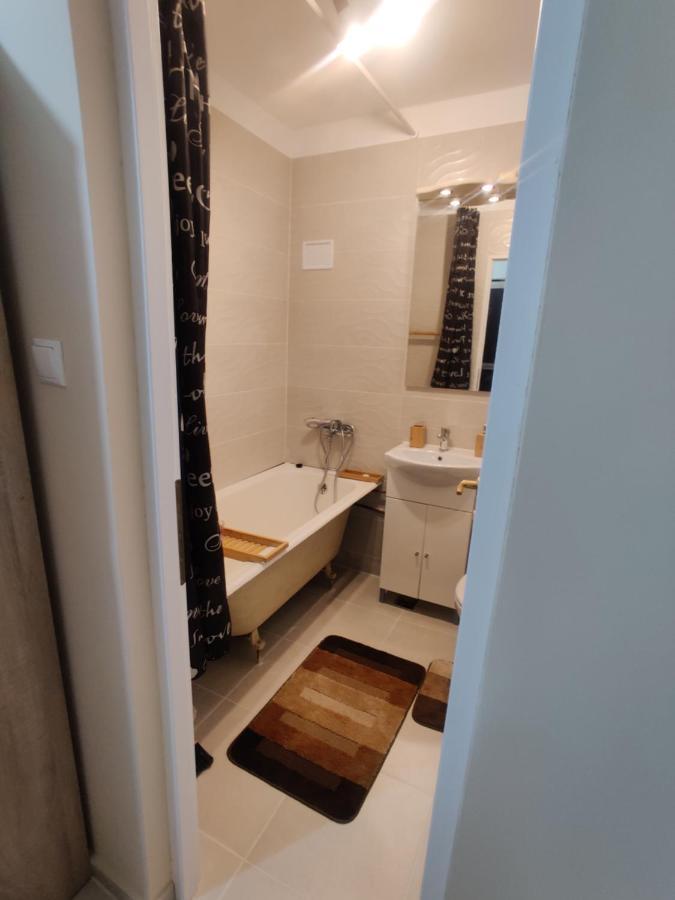 Eric'S Cozy Apartment 蒂米什瓦拉 外观 照片