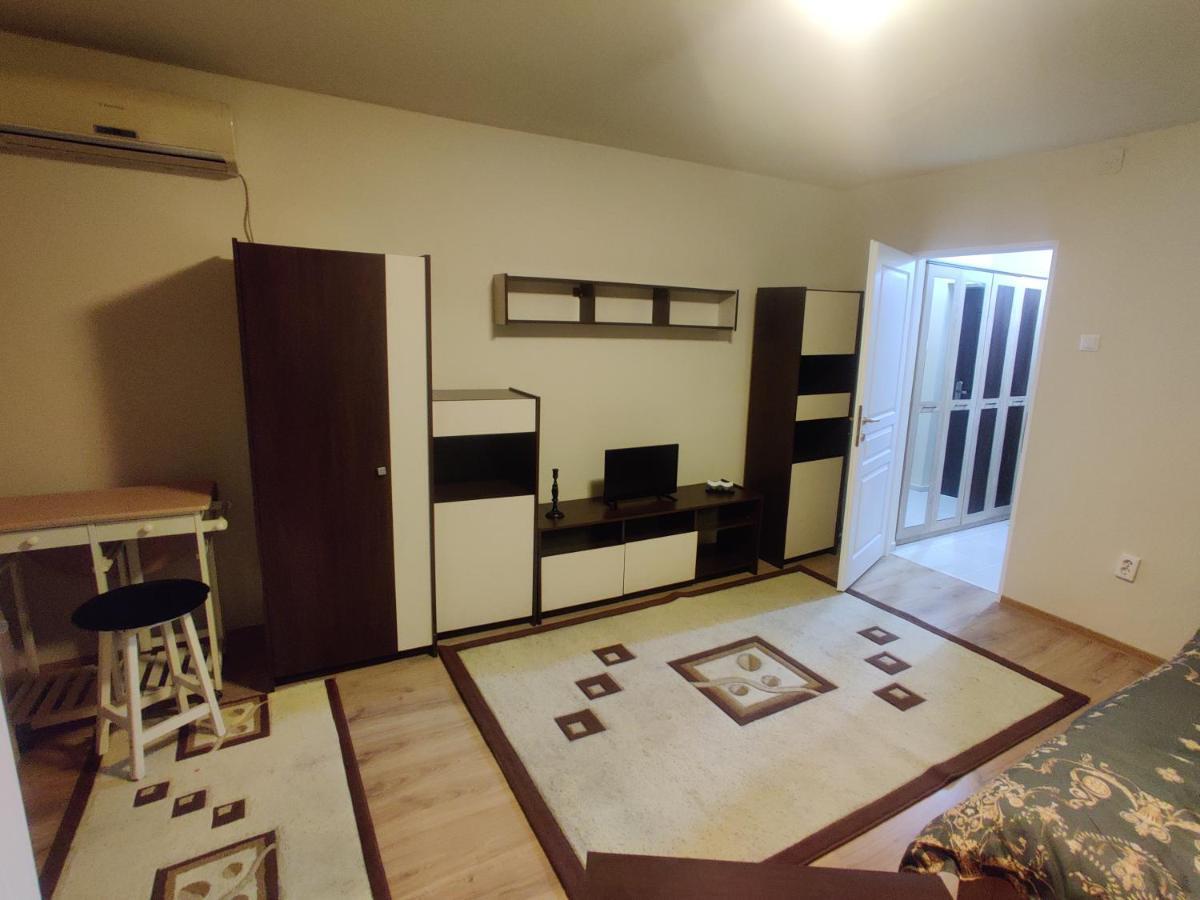 Eric'S Cozy Apartment 蒂米什瓦拉 外观 照片