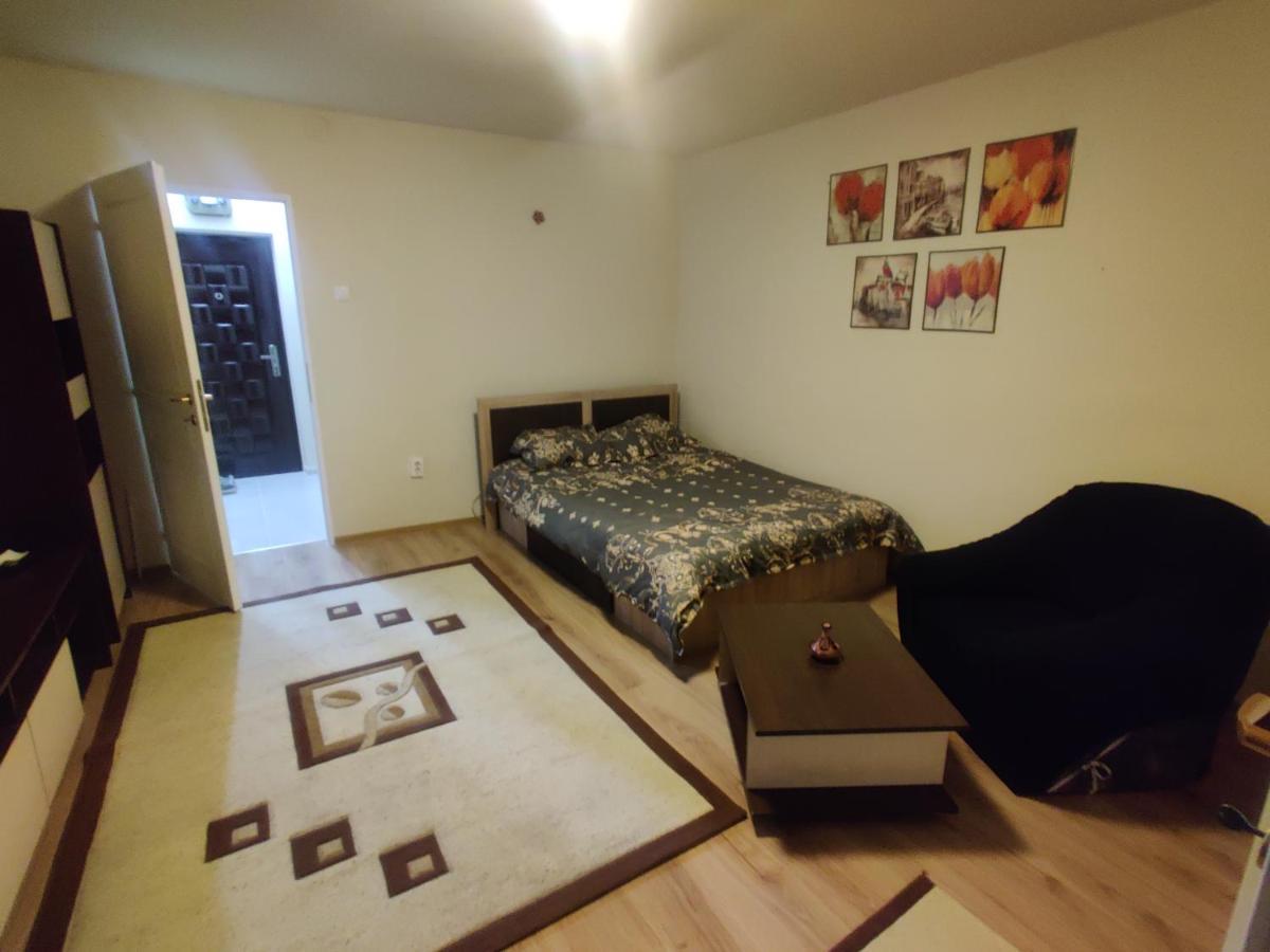 Eric'S Cozy Apartment 蒂米什瓦拉 外观 照片