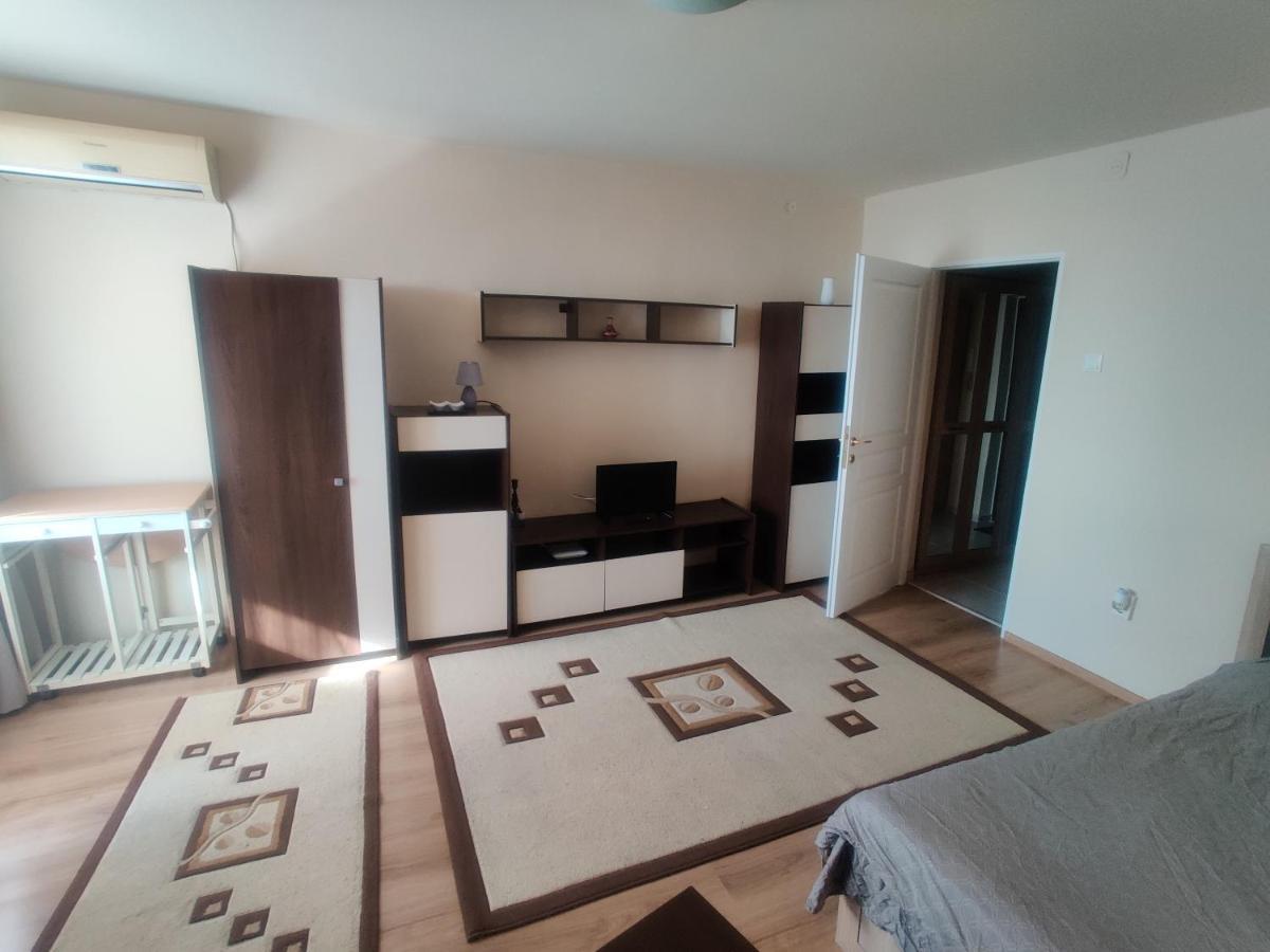 Eric'S Cozy Apartment 蒂米什瓦拉 外观 照片