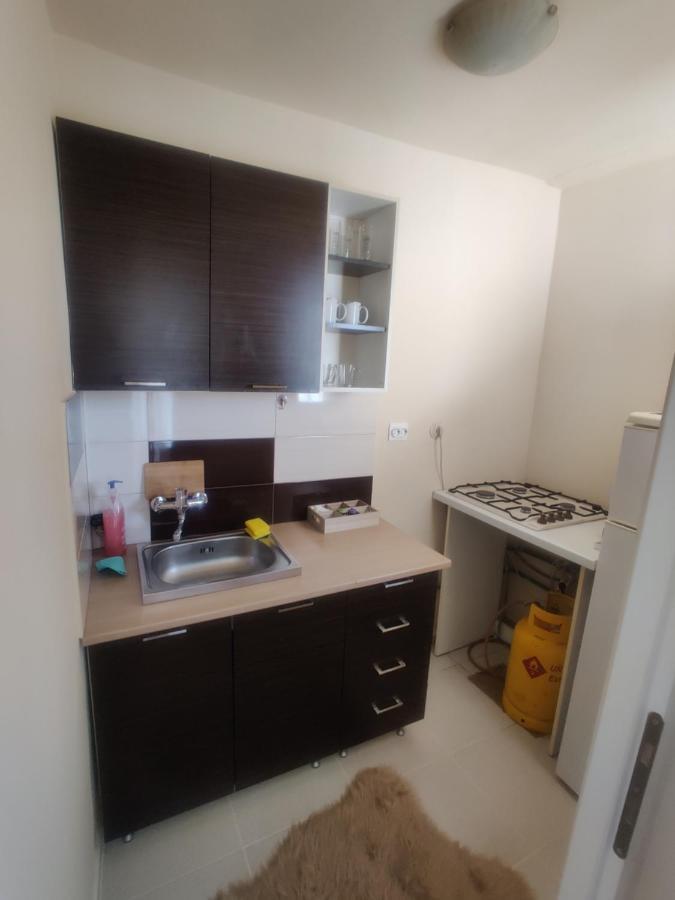 Eric'S Cozy Apartment 蒂米什瓦拉 外观 照片