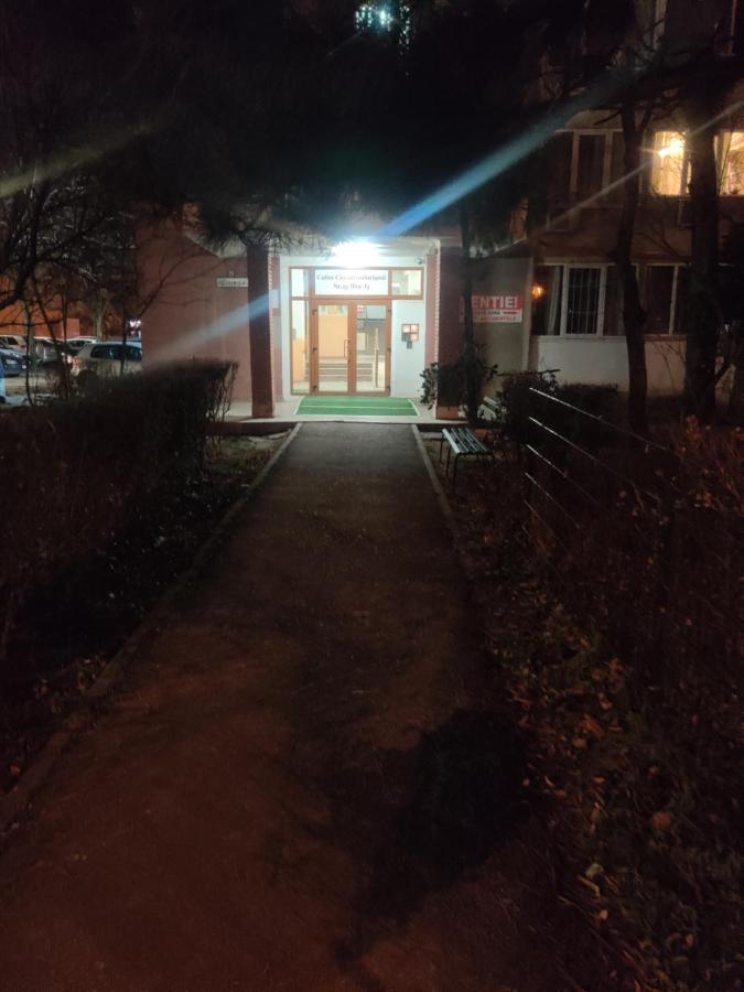 Eric'S Cozy Apartment 蒂米什瓦拉 外观 照片